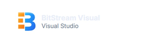 BitStreamVisual logo